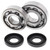 All Balls Racing 85-87 Kawasaki KX125 Crank Shaft Bearing Kit - 24-1007 Photo - Primary