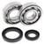 All Balls Racing 86-88 Suzuki RM250 Crank Shaft Bearing Kit - 24-1017 Photo - Primary
