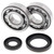 All Balls Racing 89-93 Suzuki RM250 Crank Shaft Bearing Kit - 24-1019 Photo - Primary