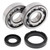 All Balls Racing 91-97 Yamaha WR250 Crank Shaft Bearing Kit - 24-1027 Photo - Primary