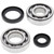 All Balls Racing 82-85 Suzuki RM250 Crank Shaft Bearing Kit - 24-1069 Photo - Primary