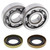All Balls Racing 2012 Husqvarna CR 65 Crank Shaft Bearing Kit - 24-1102 Photo - Primary