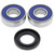 All Balls Racing 79-81 Honda CR125R Wheel Bearing Kit Front - 25-1038 Photo - Primary