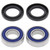 All Balls Racing 09-19 Arctic Cat 150 Utility Wheel Bearing Kit Front - 25-1054 Photo - Primary