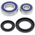 All Balls Racing 80-83 Kawasaki KZ550C LTD Wheel Bearing Kit Rear - 25-1284 Photo - Primary