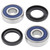 All Balls Racing 84-85 Kawasaki ZN700 Wheel Bearing Kit Rear - 25-1332 Photo - Primary