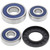 All Balls Racing 80-83 Kawasaki KZ550A Wheel Bearing Kit Rear - 25-1349 Photo - Primary