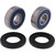 All Balls Racing 76-77 Suzuki TS100 Wheel Bearing Kit Rear - 25-1382 Photo - Primary