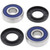 All Balls Racing 85-87 Honda CH150 Wheel Bearing Kit Rear - 25-1387 Photo - Primary