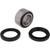 All Balls Racing 99-05 Arctic Cat 250 2x4 Wheel Bearing Kit Front - 25-1434 Photo - Primary