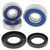 All Balls Racing 04-06 Honda CB600F (599) Wheel Bearing Kit Rear - 25-1468 Photo - Primary