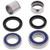 All Balls Racing 01-05 Yamaha FZ1 Wheel Bearing Kit Rear - 25-1473 Photo - Primary