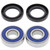 All Balls Racing 00-05 BMW F650CS Wheel Bearing Kit Front - 25-1491 Photo - Primary