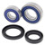 All Balls Racing 08-09 Honda TRX700XX Wheel Bearing Kit Front - 25-1576 Photo - Primary