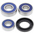 All Balls Racing 82-01 Suzuki GN125 Wheel Bearing Kit Rear - 25-1607 Photo - Primary