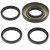 All Balls Racing 97-01 Honda TRX250 Recon Differential Seal Only Kit Rear - 25-2009-5 Photo - Primary