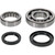 Hot Rods 18-21 Honda CRF 250 R 250cc Main Bearing & Seal Kit - HR00156 Photo - Primary