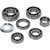 Hot Rods 20-22 Husqvarna TC 85 85cc Transmission Bearing Kit - HR00161 Photo - Primary