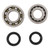 Hot Rods 04-05 Honda TRX 450 ER 450cc Main Bearing & Seal Kit - K046 Photo - Primary