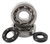 Hot Rods 02-07 Kawasaki KX 250 250cc Main Bearing & Seal Kit - K227 Photo - Primary