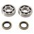 Hot Rods 89-06 Kawasaki KDX 200 200cc Main Bearing & Seal Kit - K238 Photo - Primary