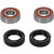 Pivot Works KTM, Yamaha Wheel Bearing Kit Premium Bearings - 25-1009-P Photo - Primary