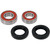 Pivot Works Honda Wheel Bearing Kit Premium Bearings - 25-1050-P Photo - Primary