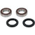 Pivot Works Gas-Gas, Kawasaki, Suzuki Wheel Bearing Kit Premium Bearings - 25-1079-P Photo - Primary