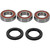 Pivot Works KTM Wheel Bearing Kit Premium Bearings - 25-1101-P Photo - Primary