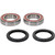 Pivot Works Kawasaki Wheel Bearing Kit Premium Bearings - 25-1132-P Photo - Primary