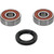 Pivot Works Honda, Suzuki Wheel Bearing Kit Premium Bearings - 25-1170-P Photo - Primary