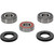 Pivot Works Suzuki Wheel Bearing Kit Premium Bearings - 25-1262-P Photo - Primary