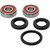 Pivot Works Honda, Yamaha Wheel Bearing Kit Premium Bearings - 25-1319-P Photo - Primary