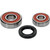 Pivot Works Suzuki Wheel Bearing Kit Premium Bearings - 25-1326-P Photo - Primary