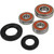 Pivot Works Suzuki, Yamaha Wheel Bearing Kit Premium Bearings - 25-1344-P Photo - Primary