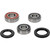 Pivot Works Cagiva, Kawasaki Wheel Bearing Kit Premium Bearings - 25-1386-P Photo - Primary