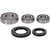 Pivot Works Kawasaki, Suzuki Wheel Bearing Kit Premium Bearings - 25-1393-P Photo - Primary