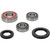 Pivot Works Kawasaki, Triumph, Yamaha Wheel Bearing Kit Premium Bearings - 25-1449-P Photo - Primary