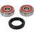Pivot Works Honda Wheel Bearing Kit Premium Bearings - 25-1554-P Photo - Primary