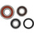 Pivot Works Triumph Wheel Bearing Kit Premium Bearings - 25-1588-P Photo - Primary