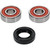 Pivot Works Honda, Suzuki Wheel Bearing Kit Premium Bearings - 25-1645-P Photo - Primary