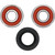Pivot Works Honda, Suzuki Wheel Bearing Kit Premium Bearings - 25-1645-P Photo - Primary