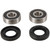 Pivot Works 86-87 Honda ATC125M PW Front Wheel Bearing Kit - PWFWK-H17-032 Photo - Primary