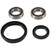Pivot Works 04-13 Honda CRF250X PW Front Wheel Bearing Kit - PWFWK-H21-020 Photo - Primary