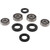 Pivot Works 03-06 Kawasaki KFX50 PW Front Wheel Bearing Kit - PWFWK-S05-000 Photo - Primary