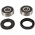 Pivot Works 81-82 Kawasaki KZ305 CSR PW Front Wheel Bearing Kit - PWFWS-K03-000 Photo - Primary