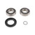 Pivot Works 00-01 Polaris Magnum 325 2x4 PW Rear Wheel Bearing Kit - PWRWK-P03-543 Photo - Primary