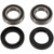 Pivot Works 02-06 Can-Am DS 50 PW Rear Wheel Bearing Kit - PWRWK-P13-000 Photo - Primary