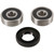 Pivot Works 75-87 Kawasaki KD80 PW Rear Wheel Bearing Kit - PWRWK-Y29-001 Photo - Primary