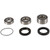 Pivot Works 00-01 Honda CBR929RR PW Rear Wheel Bearing Kit - PWRWS-H14-000 Photo - Primary